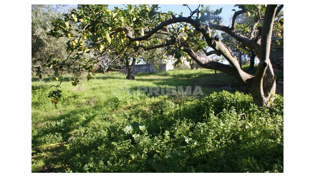 Quinta para Venda em Castelo Branco Foto 8