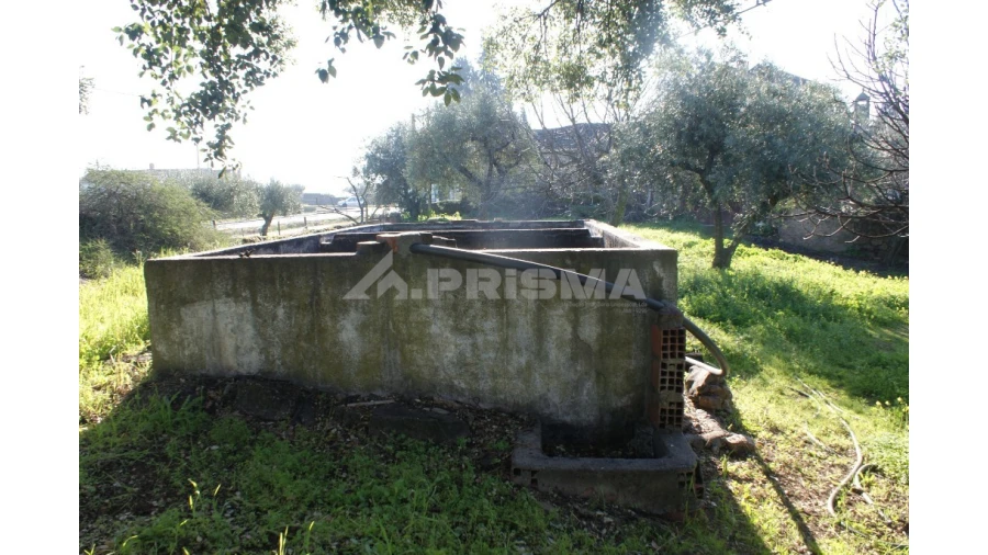 Quinta para Venda em Castelo Branco Foto 13