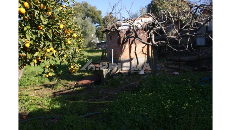 Quinta para Venda em Castelo Branco Foto 5