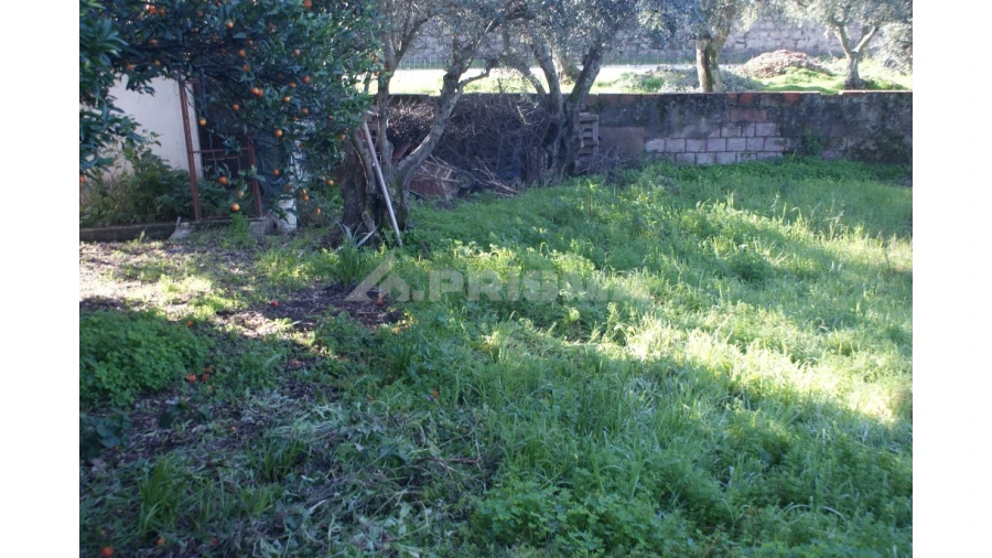 Quinta para Venda em Castelo Branco Foto 2
