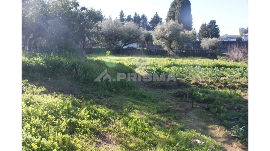 Quinta para Venda em Castelo Branco Foto 17