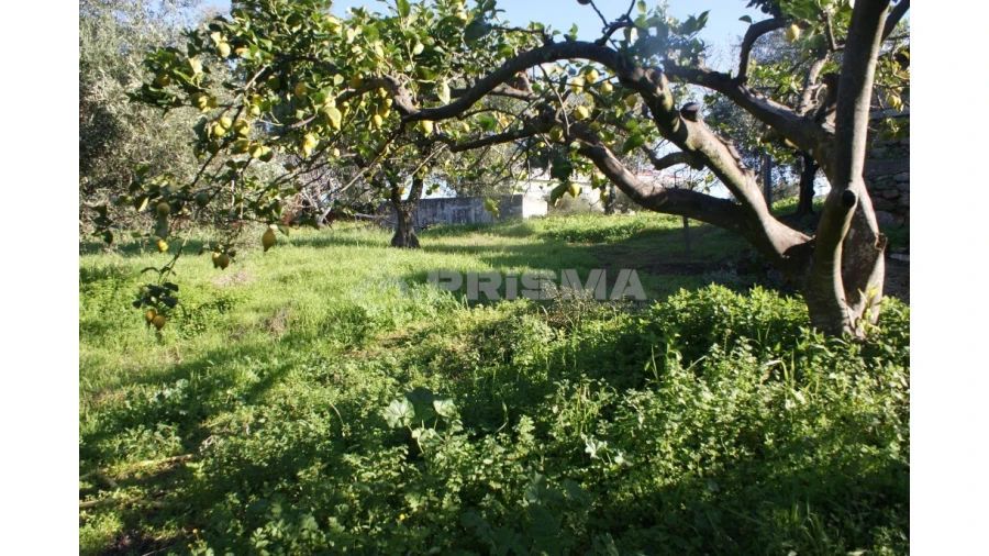 Quinta para Venda em Castelo Branco Foto 8