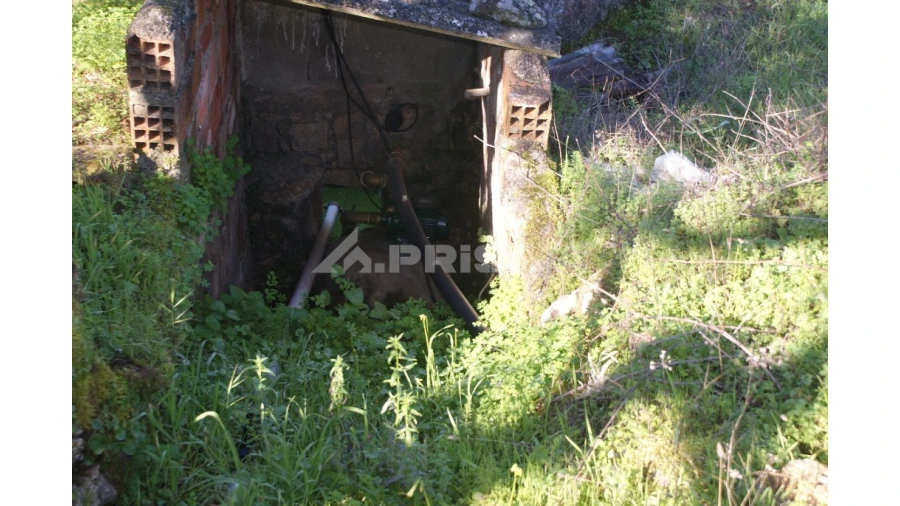 Quinta para Venda em Castelo Branco Foto 20