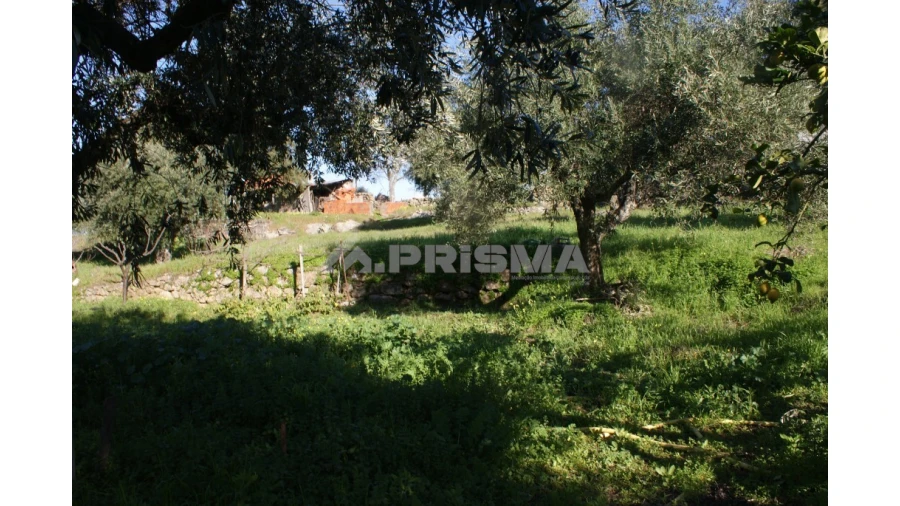 Quinta para Venda em Castelo Branco Foto 7