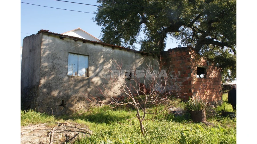 Quinta para Venda em Castelo Branco Foto 25