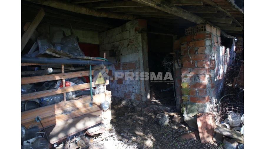 Quinta para Venda em Castelo Branco Foto 26