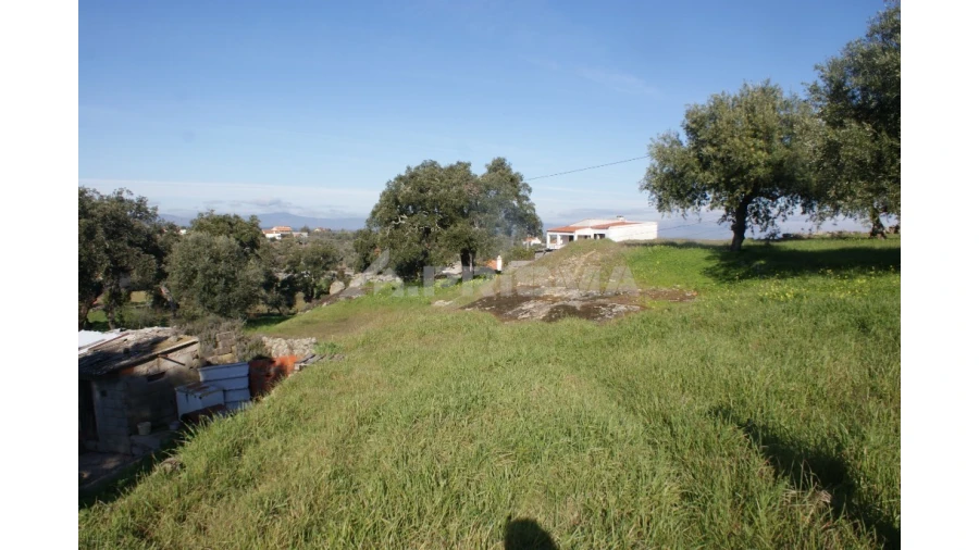 Quinta para Venda em Castelo Branco Foto 22