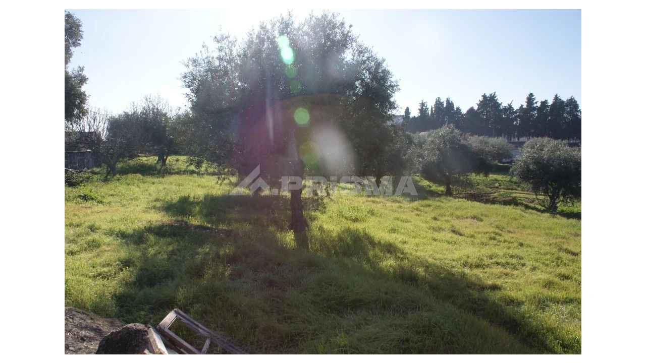 Quinta para Venda em Castelo Branco Foto 11