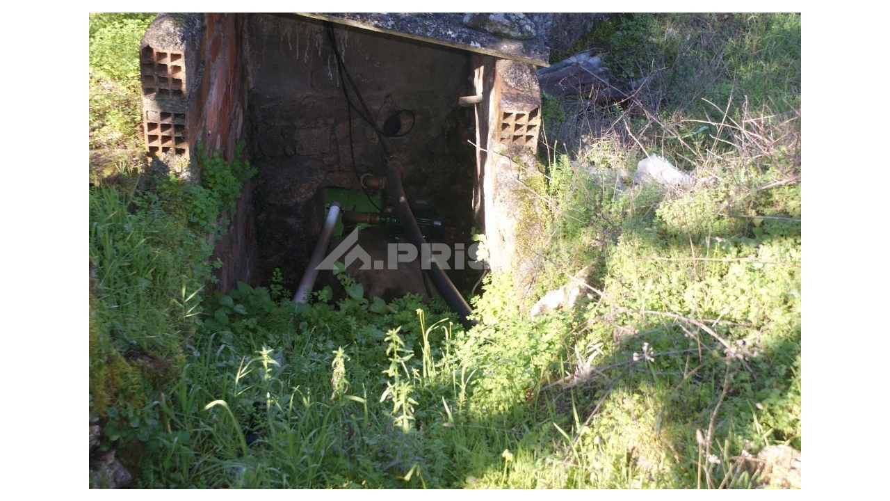Quinta para Venda em Castelo Branco Foto 20