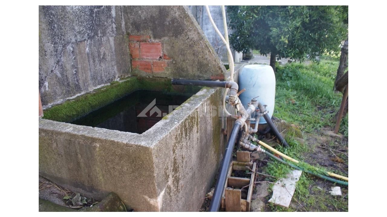 Quinta para Venda em Castelo Branco Foto 6