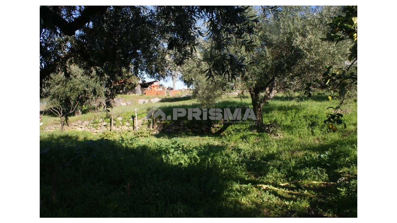 Quinta para Venda em Castelo Branco Foto 7