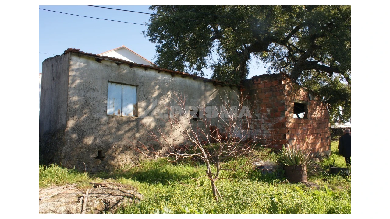 Quinta para Venda em Castelo Branco Foto 25