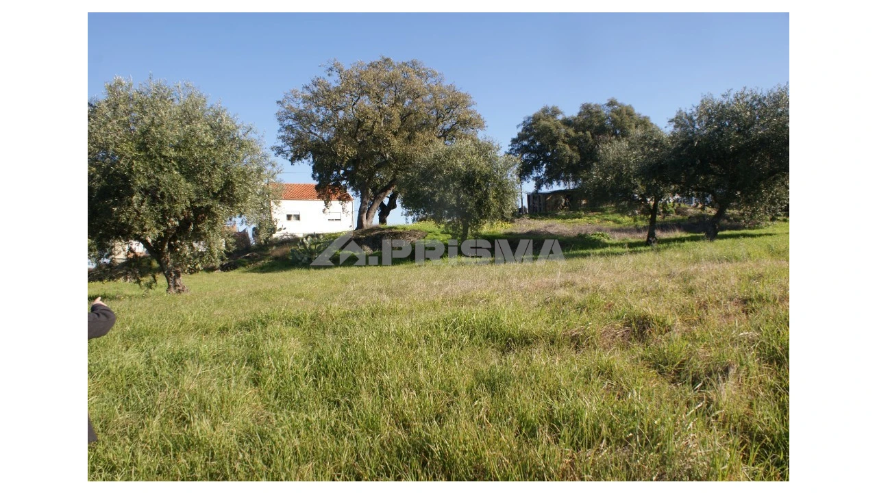 Quinta para Venda em Castelo Branco Foto 21