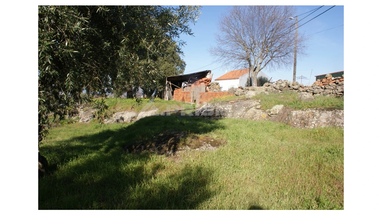 Quinta para Venda em Castelo Branco Foto 24