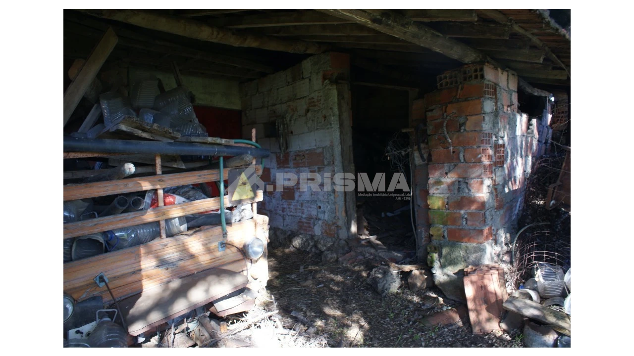 Quinta para Venda em Castelo Branco Foto 26
