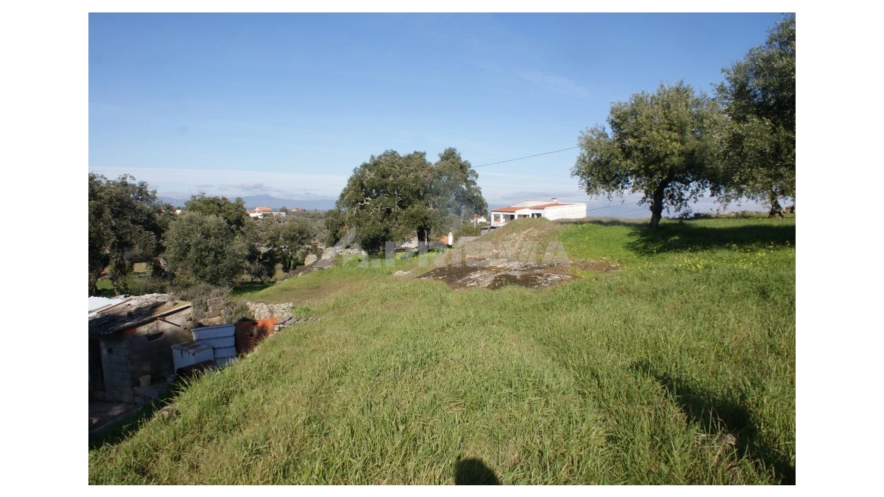 Quinta para Venda em Castelo Branco Foto 22