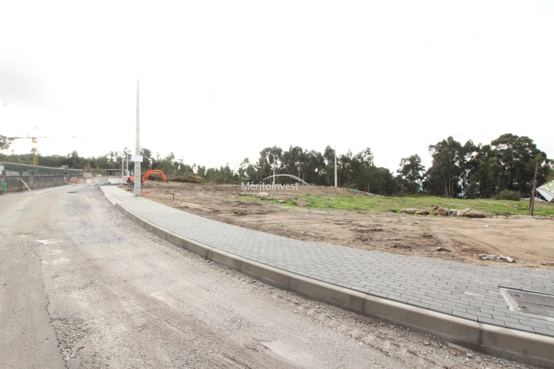 Terreno para Venda em Arões (São Romão) Foto 2