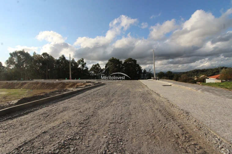 Terreno para Venda em Arões (São Romão) Foto 6