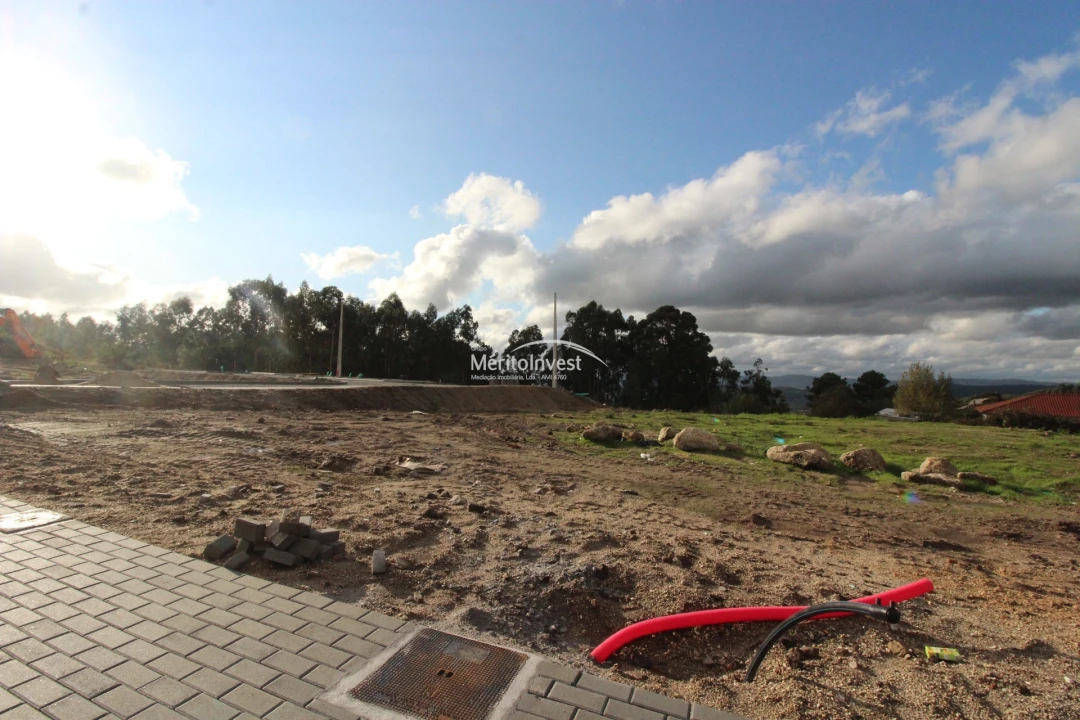 Terreno para Venda em Arões (São Romão) Foto 8