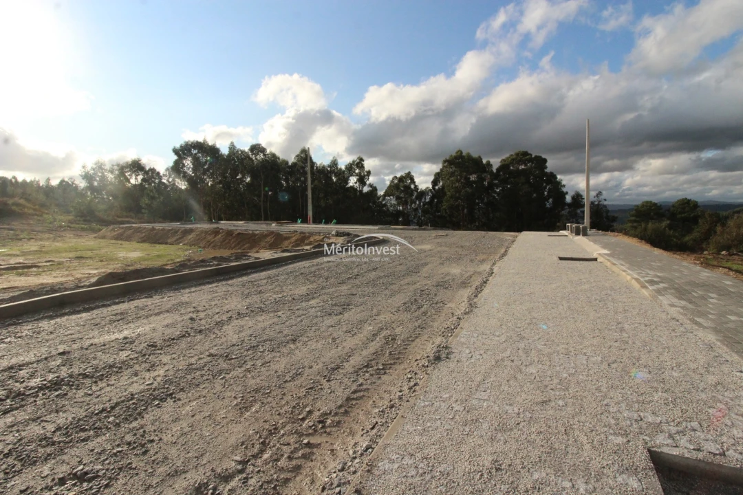 Terreno para Venda em Arões (São Romão) Foto 7