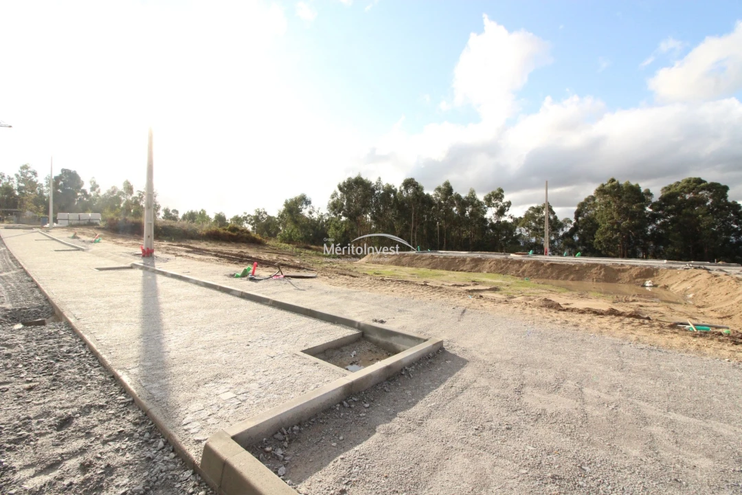 Terreno para Venda em Arões (São Romão) Foto 3