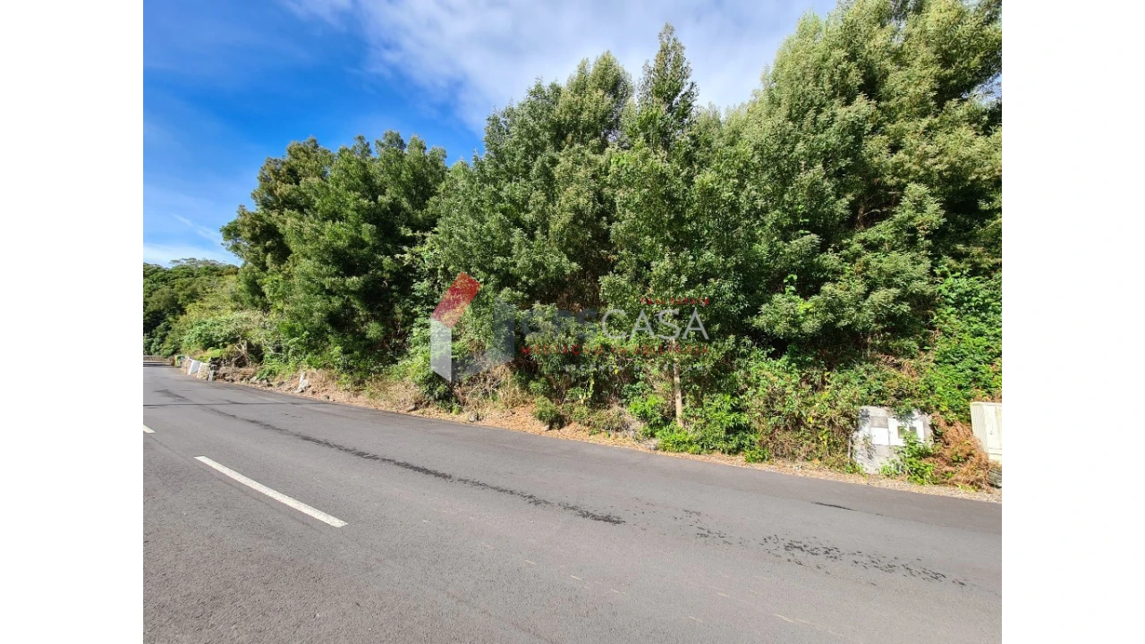 Terreno para Venda em Terra Chã Foto 6