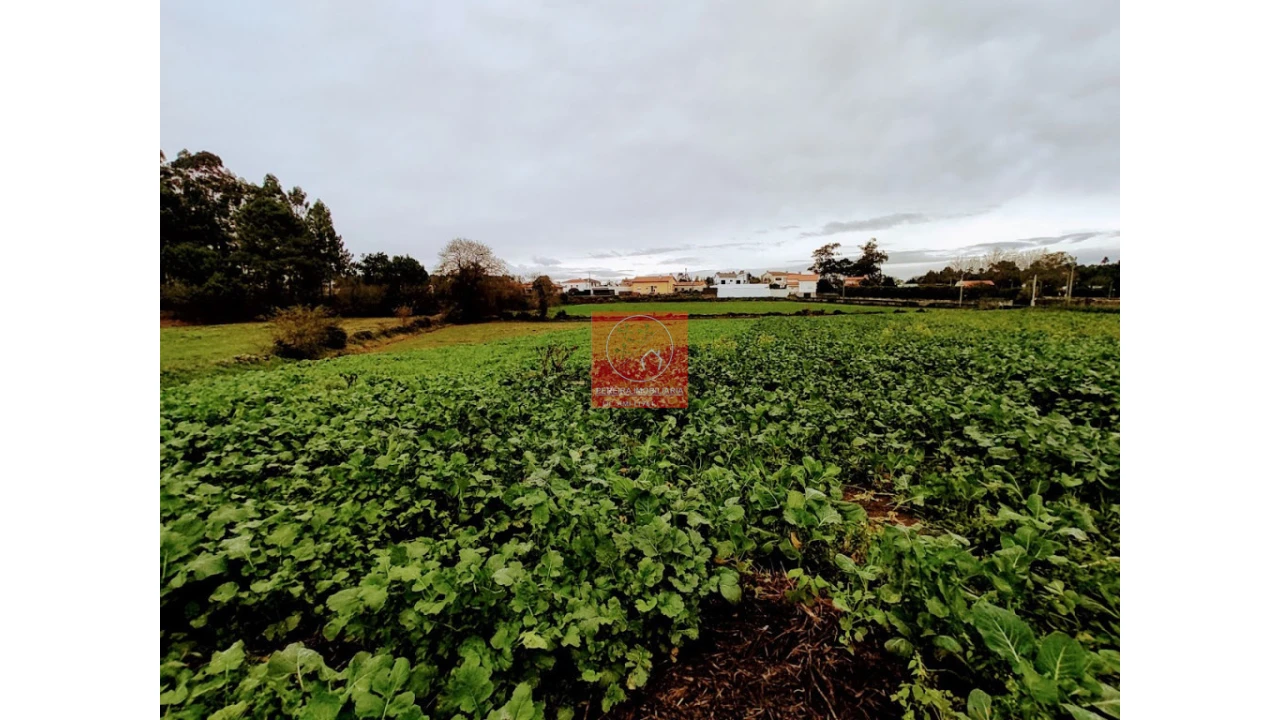 Terreno para Venda em Póvoa de Varzim, Beiriz e Argivai Foto 3