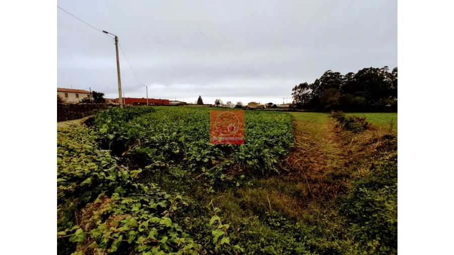Terreno para Venda em Póvoa de Varzim, Beiriz e Argivai Foto 4