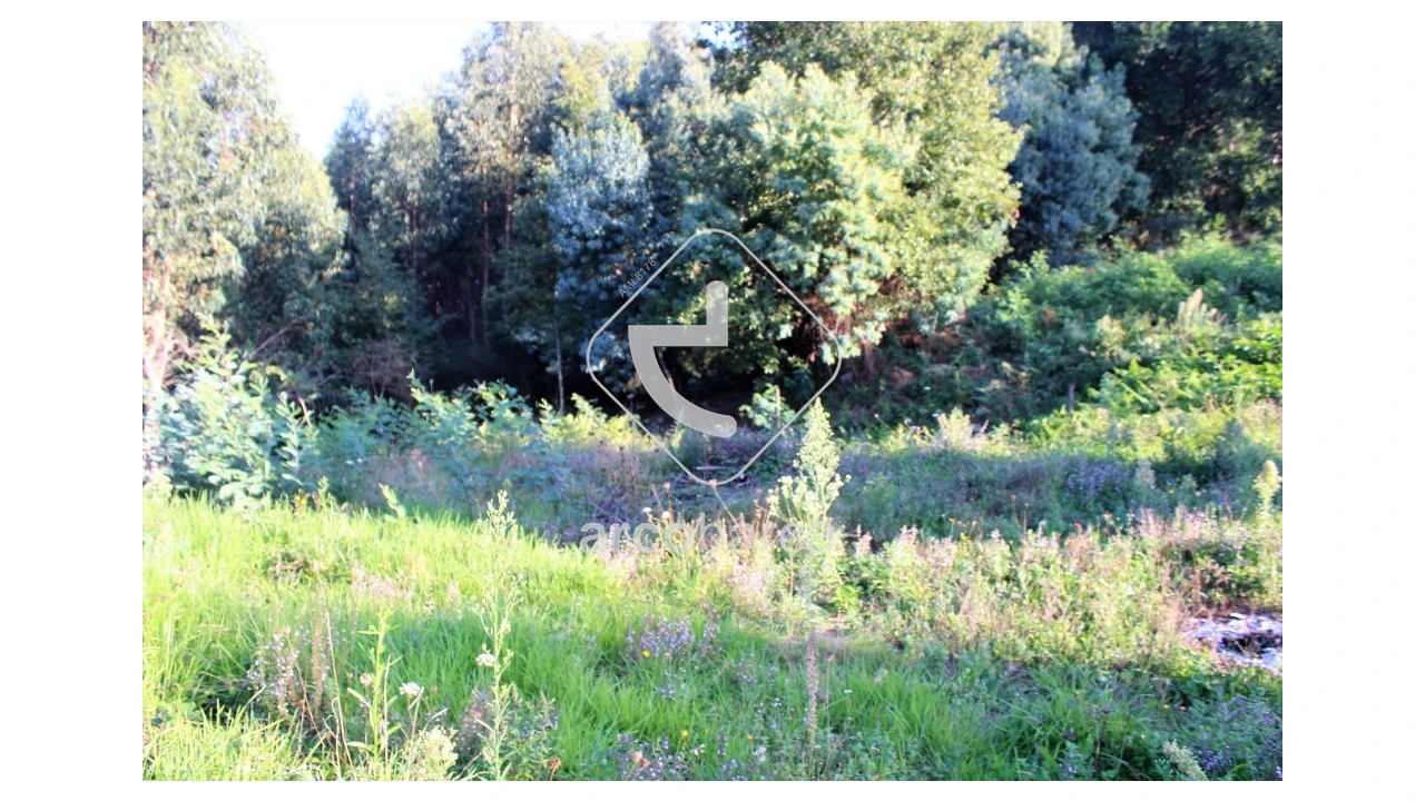 Terreno para Venda em Oleiros Foto 14