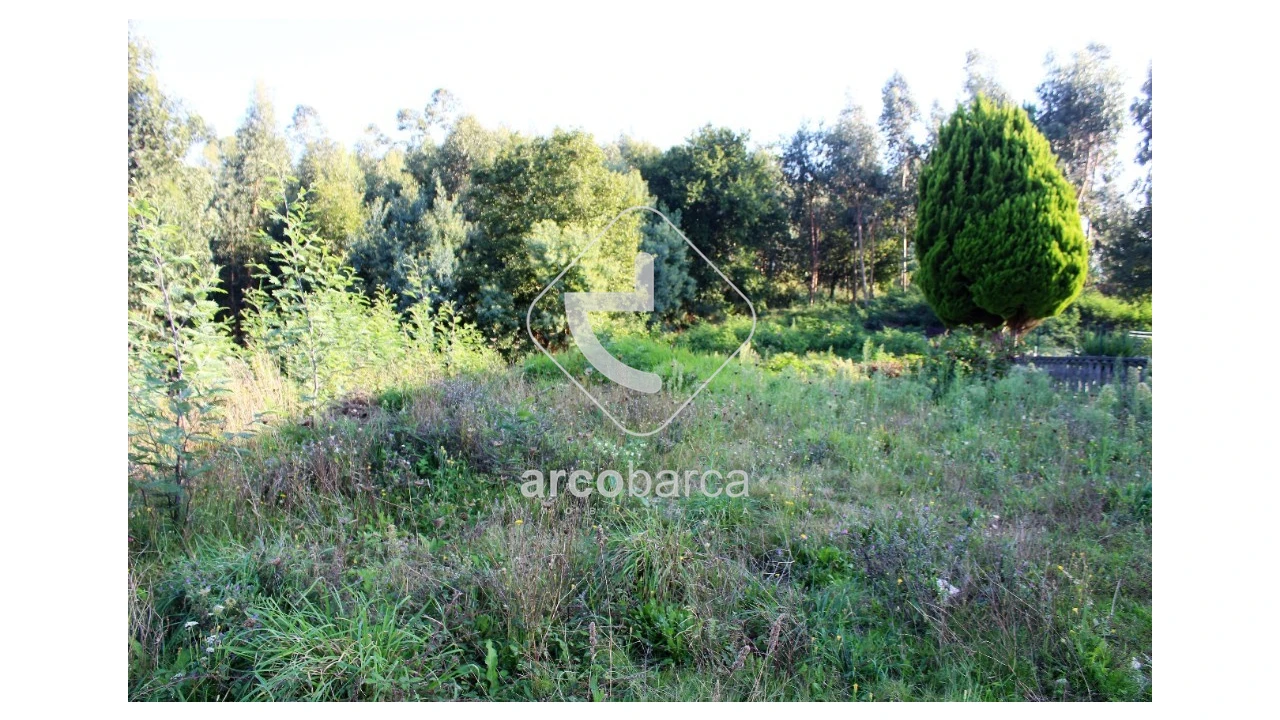 Terreno para Venda em Oleiros Foto 11
