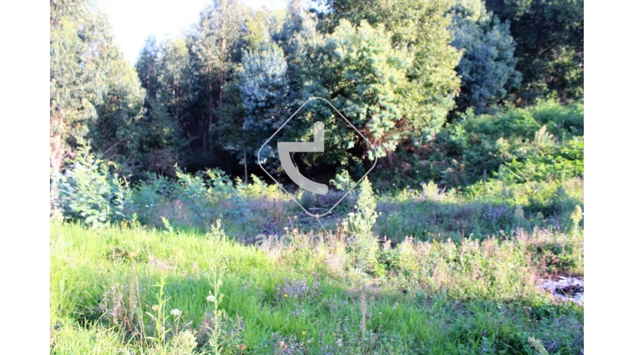 Terreno para Venda em Oleiros Foto 14