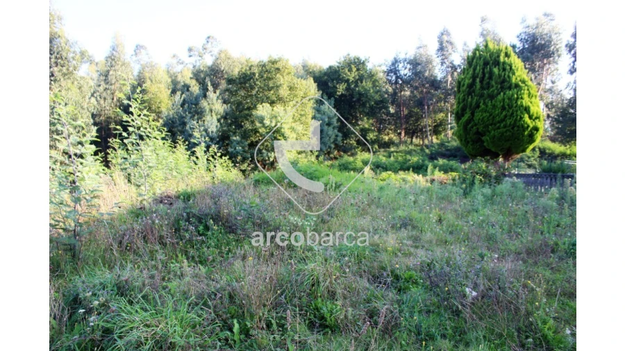 Terreno para Venda em Oleiros Foto 11