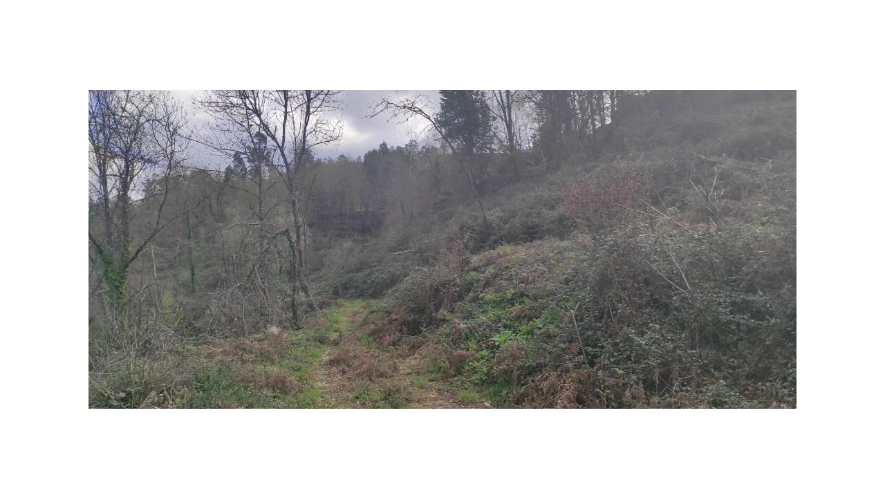 Terreno para Venda em Moimenta Foto 5