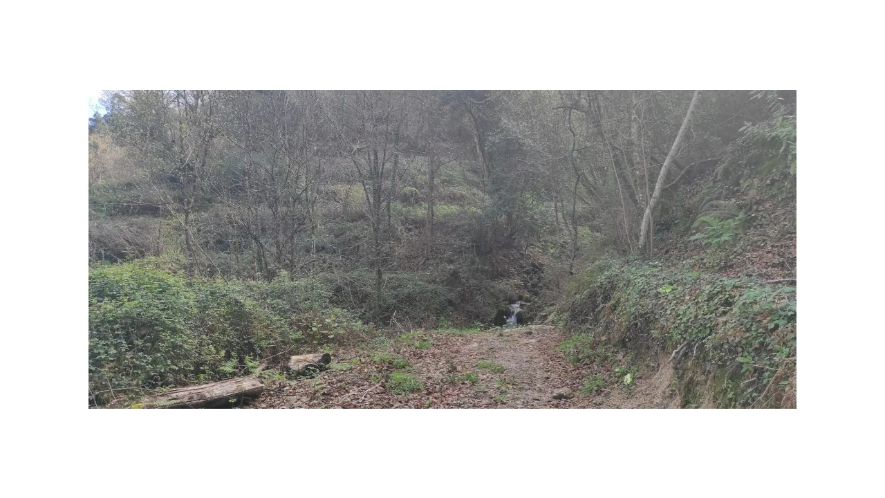 Terreno para Venda em Moimenta Foto 6