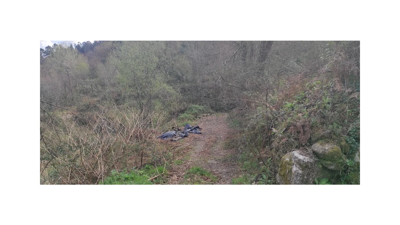 Terreno para Venda em Moimenta Foto 3