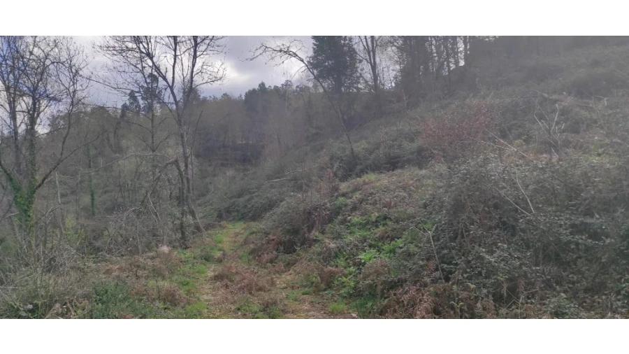 Terreno para Venda em Moimenta Foto 5