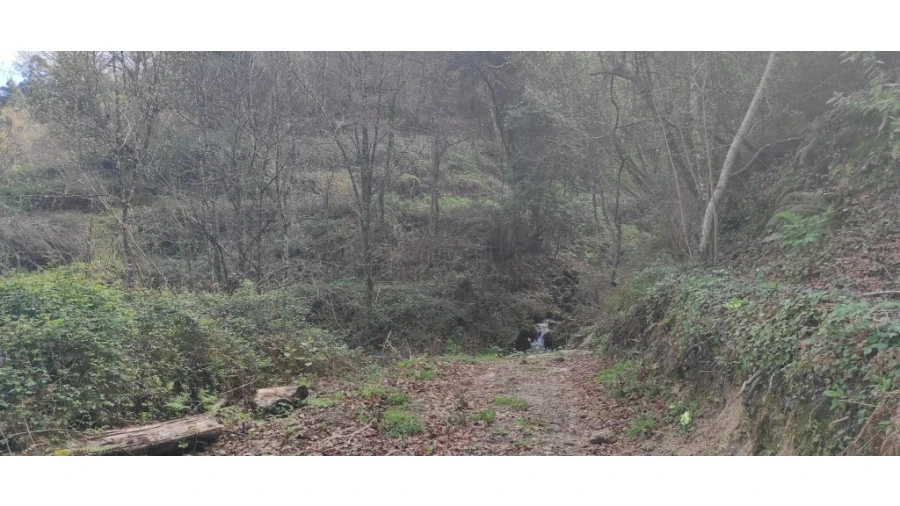 Terreno para Venda em Moimenta Foto 6