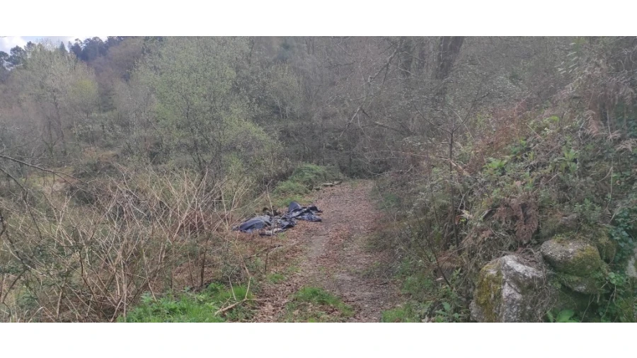 Terreno para Venda em Moimenta Foto 3