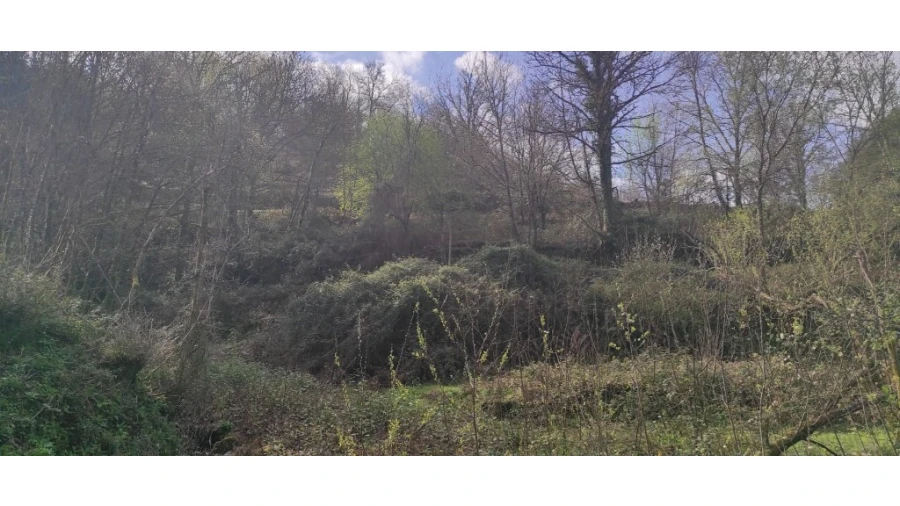 Terreno para Venda em Moimenta Foto 7