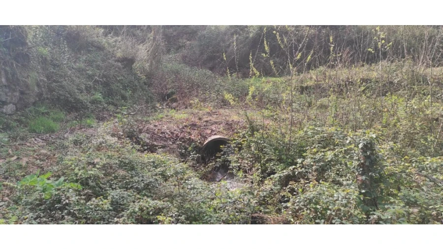 Terreno para Venda em Moimenta Foto 4