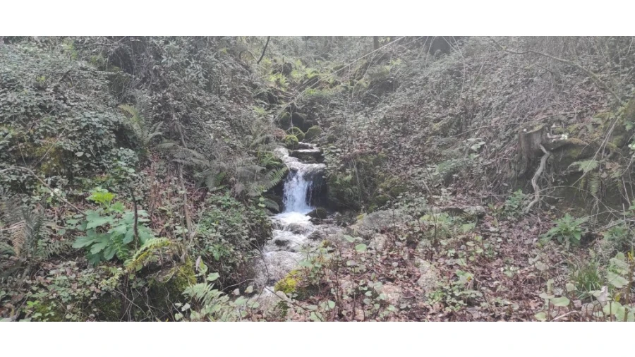 Terreno para Venda em Moimenta Foto 1