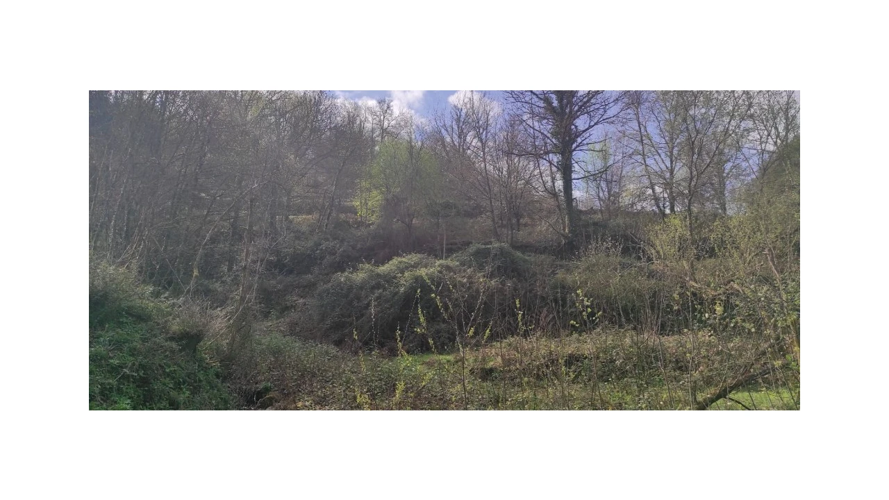 Terreno para Venda em Moimenta Foto 7