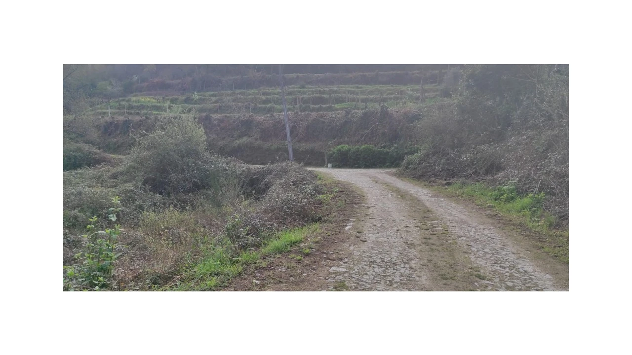 Terreno para Venda em Moimenta Foto 2