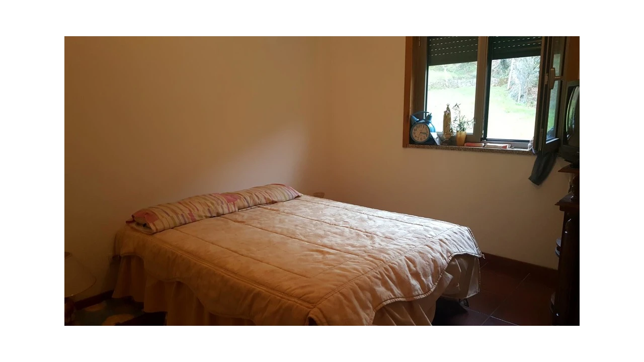 Terreno para Venda em Ribeira Foto 8