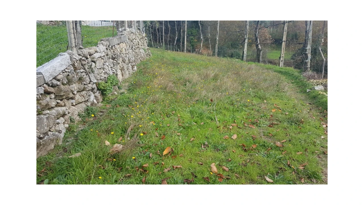 Terreno para Venda em Ribeira Foto 2