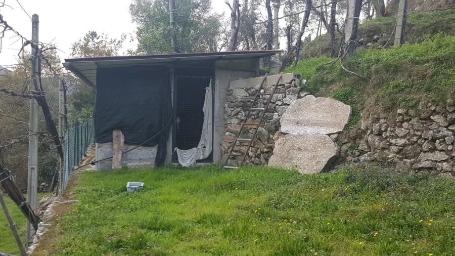 Terreno para Venda em Ribeira Foto 10