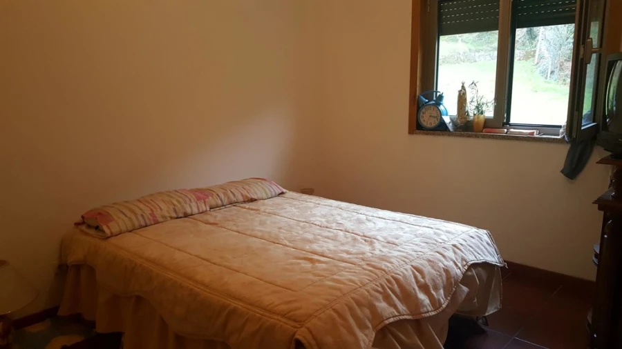 Terreno para Venda em Ribeira Foto 8