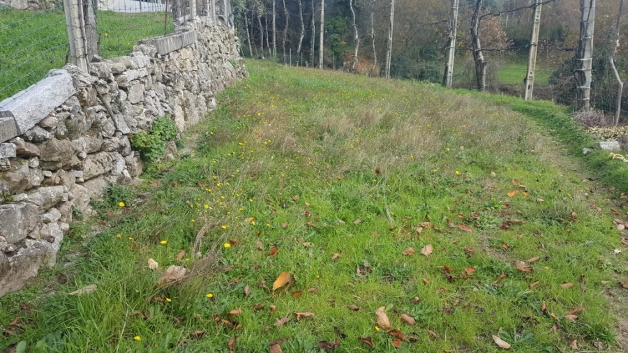 Terreno para Venda em Ribeira Foto 2