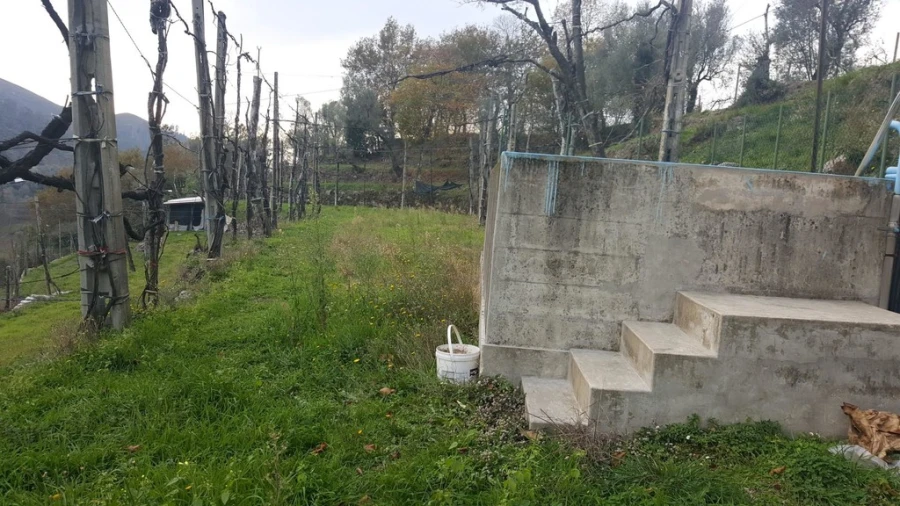 Terreno para Venda em Ribeira Foto 14