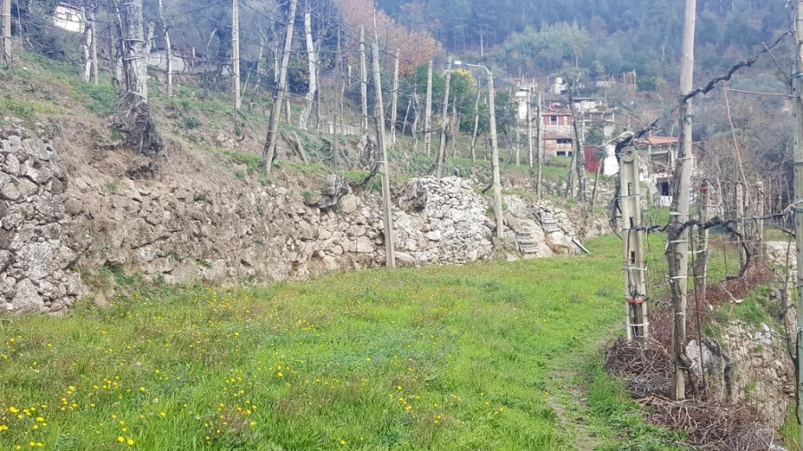 Terreno para Venda em Ribeira Foto 5